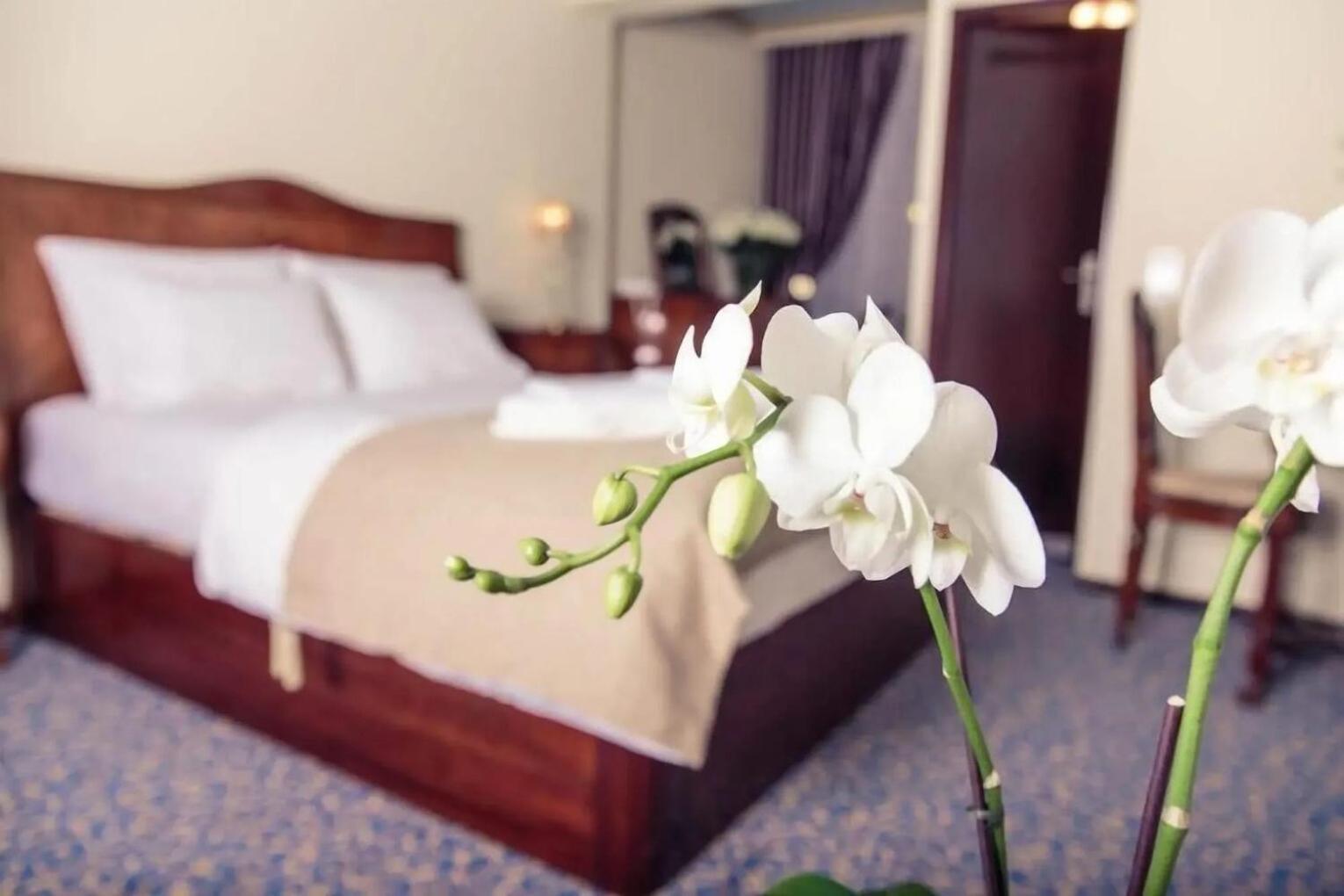 Hotel Stern Лаутербах Экстерьер фото